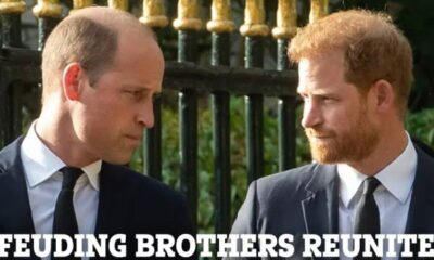 Royal reunion: King Charles unable to control emotions as Prince Harry, Prince William reunite in UK... See more