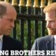 Royal reunion: King Charles unable to control emotions as Prince Harry, Prince William reunite in UK... See more